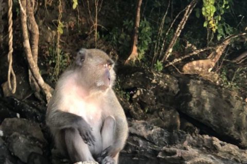 泰国普吉岛 猴子海滩 Monkey Beach