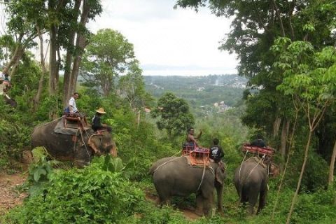 泰国普吉岛 海景大象营地骑大象 Phuket Elephant Ride