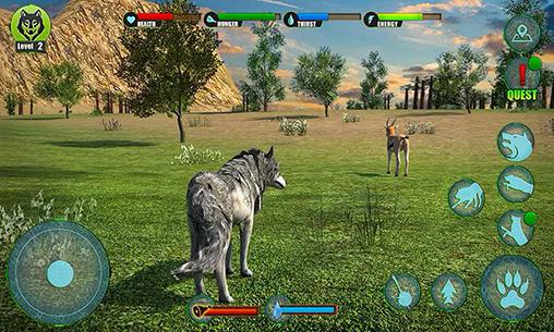 Juegos de tragamonedas wild games