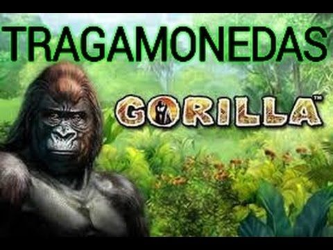 juegos tragamonedas online gratis 5 tambores