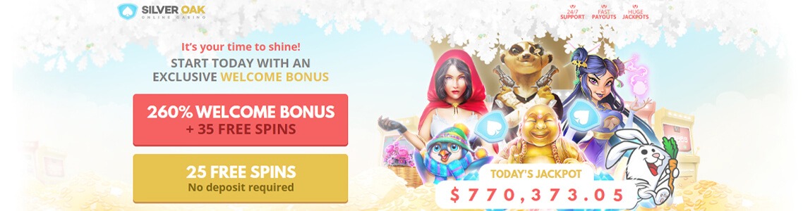 free coins for house of fun spin